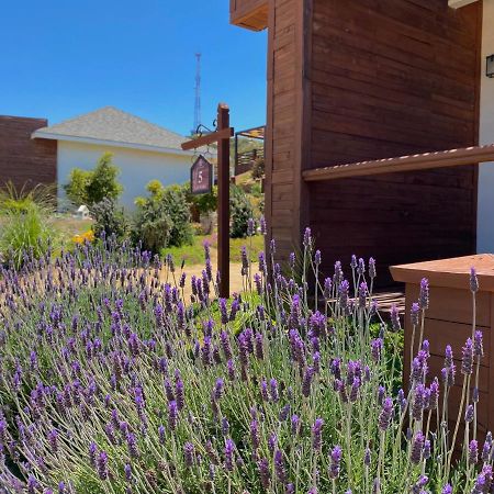 Entrevalle Hotel Boutique Valle de Guadalupe Buitenkant foto