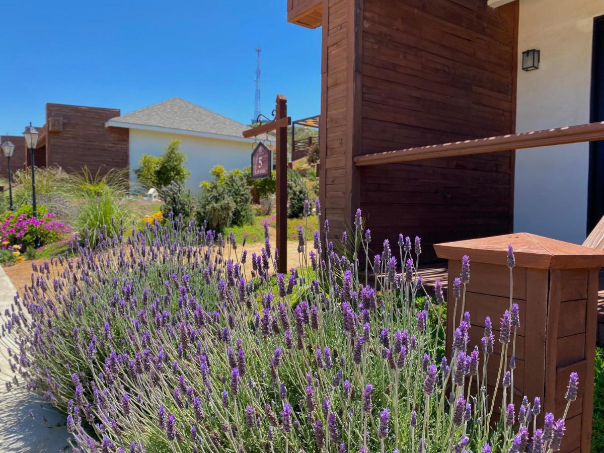 Entrevalle Hotel Boutique Valle de Guadalupe Buitenkant foto
